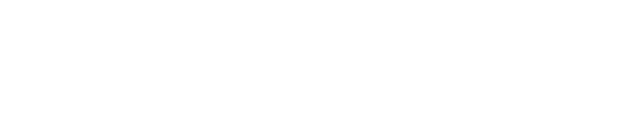 partner-image